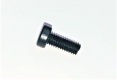 Slotted cheese head screw