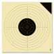Target Air pistol 10m  250pcs